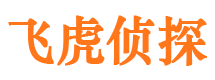 正阳市侦探调查公司